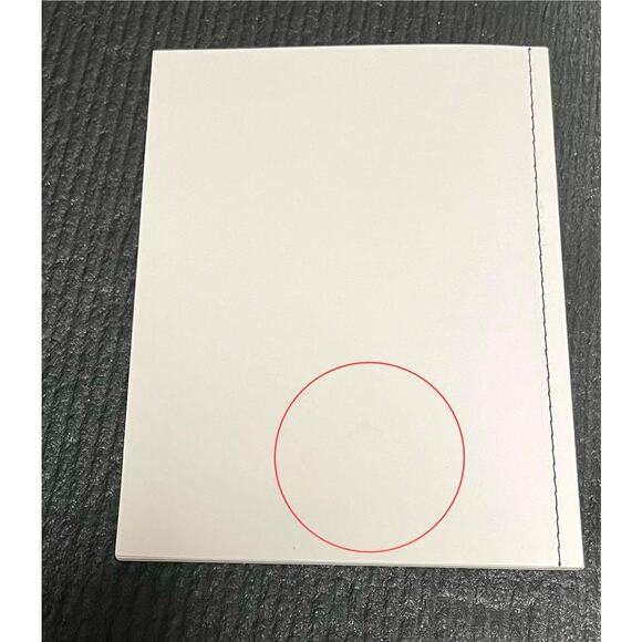 CELINE ACCESSORIES LOOKBOOK catalog 2010 - Picture 3 of 5